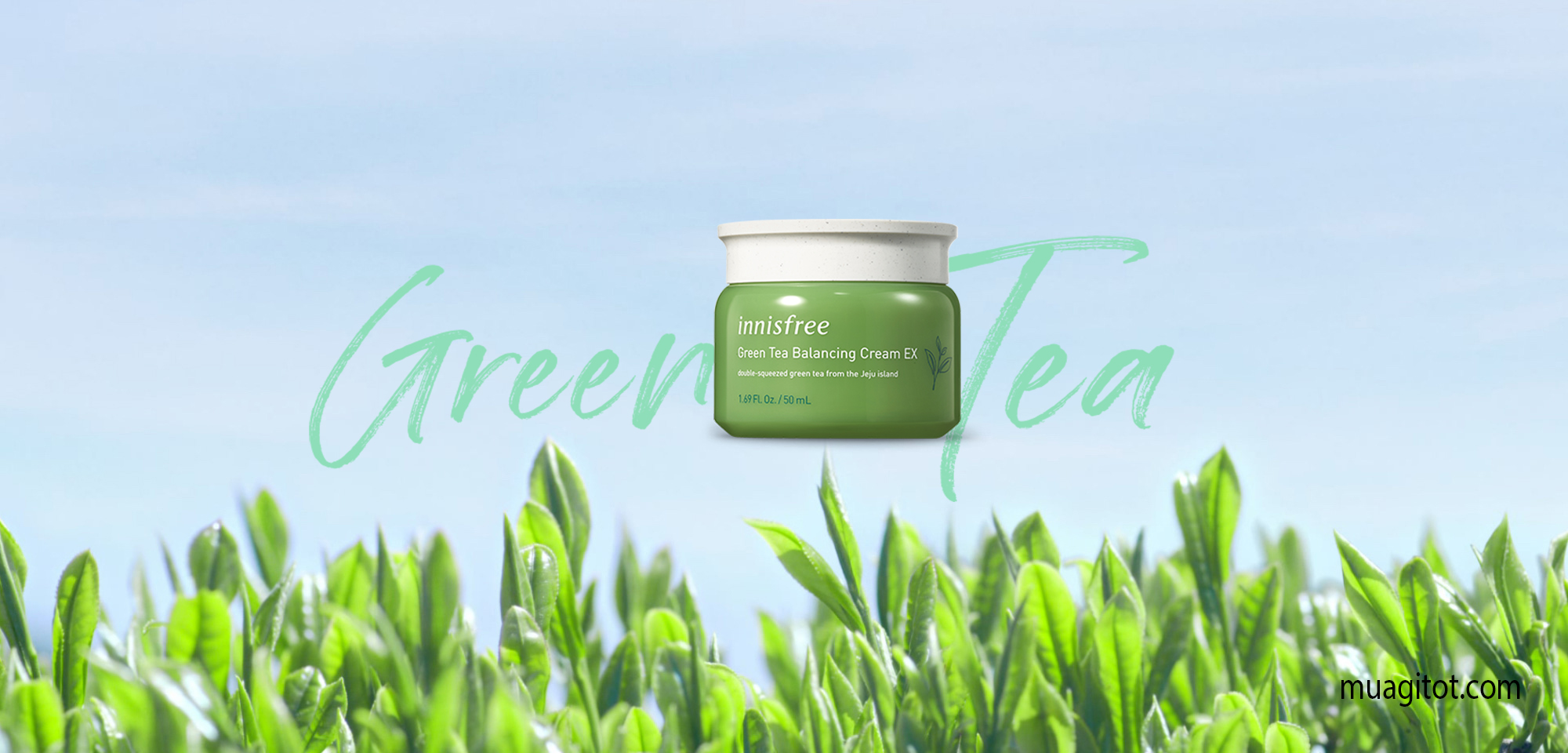kem dưỡng ẩm innisfree green tea balancing cream Ẽ