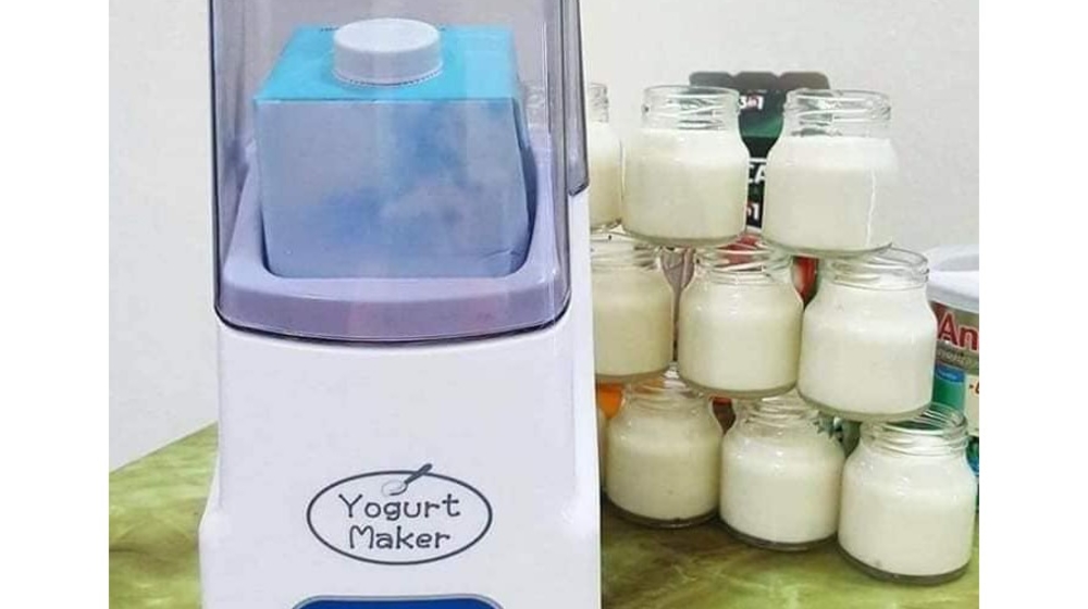 Máy làm sữa chua yogurt maker có thực sự tốt?