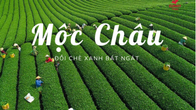 Bỏ túi tips du lịch Mộc Châu 3N2Đ chỉ với 950K 1 người