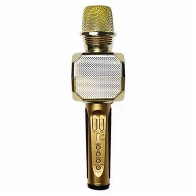 Micro Karaoke Bluetooth SD-10