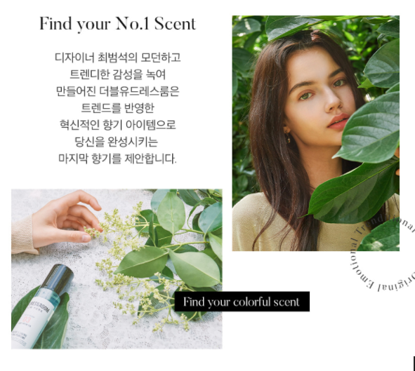 Nước hoa W.dressroom idol Hàn sử dụng có gì hot 2020