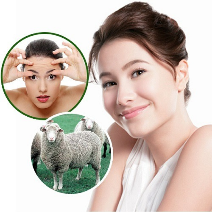 Tác dụng của tinh chất nhau thai cừu với làn da