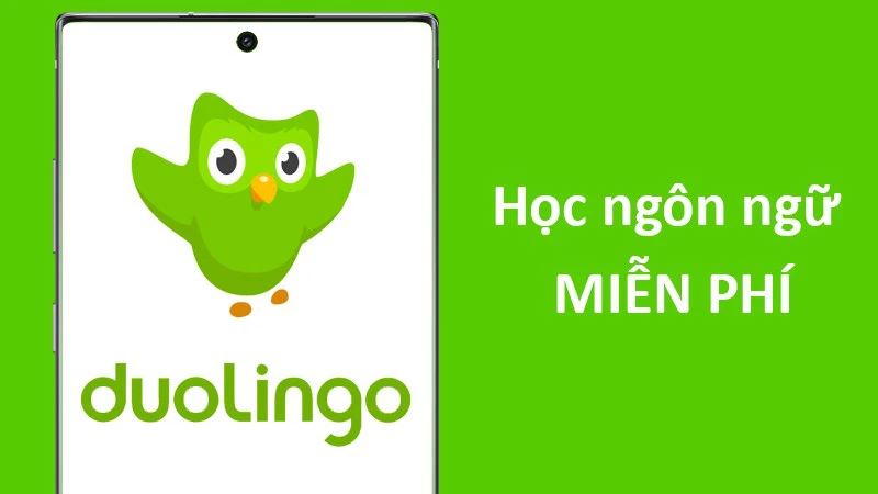 Ứng dụng học tiếng Anh Duolingo